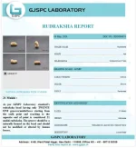 21 Mukhi lab Certificate