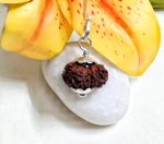 18 Mukhi Rudraksha