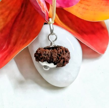 18 Mukhi Rudraksha