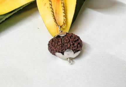 Seventeen Mukhi Java Indonesia