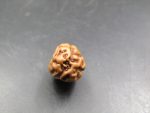 3 Mukhi Rudraksha