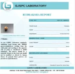 3 Mukhi lab Certificate