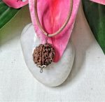 3 Mukhi Rudraksha