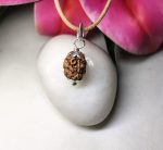 3 Mukhi Rudraksha