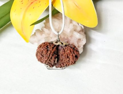 10 Mukhi Gaurishankar Nepal