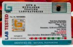 4 Mukhi certificate
