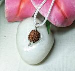 4 Mukhi Rudraksha