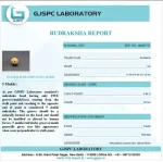 5 Mukhi lab Certificate