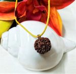 5 Mukhi Rudraksha (Nepal)