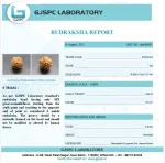 6 Mukhi lab Certificate