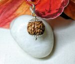 6 Mukhi Rudraksha