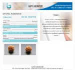 7 Mukhi Rudraksha