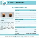 7 Mukhi lab Certificate