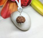 7 Mukhi Rudraksha