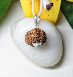 7 Mukhi Rudraksha