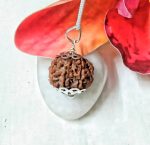 7 Mukhi Rudraksha