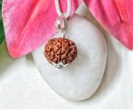 7 Mukhi Rudraksha