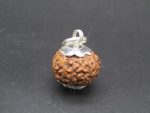 8 Mukhi lab Rudraksha