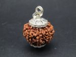 8 Mukhi lab Rudraksha