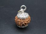 8 Mukhi lab Rudraksha
