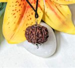 8 Mukhi Certificate