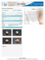 9 Mukhi Certificate