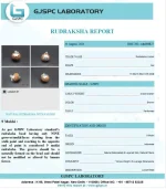 9 Mukhi lab Certificate