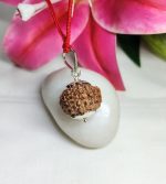 9 Mukhi Rudraksha