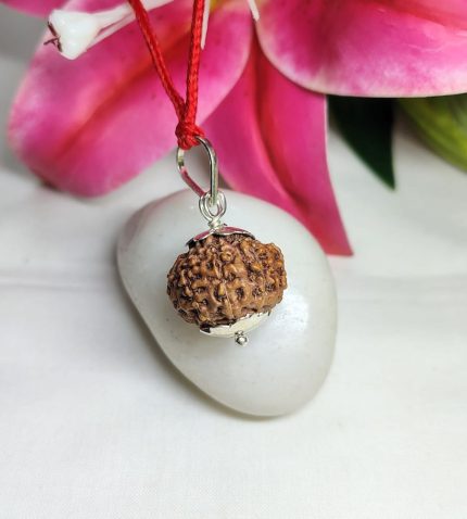 9 Mukhi Rudraksha