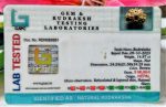 9 Mukh INDONESSIA Rudraksh