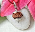 9 Mukh INDONESSIA Rudraksh