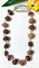 Aishwarya Sarva Siddha Rudraksha Mala