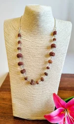 Aishwarya Sarva Siddha Rudraksha Mala