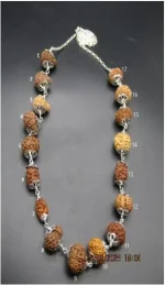 Aishwarya Sarva Siddha Rudraksha lab Mala