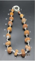 Aishwarya Sarva Siddha lab Mala