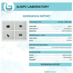 Blue Sapphire (Neelam) lab Certificate