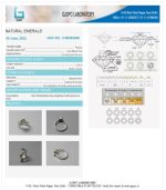 Emerald (Panna) Certificate