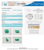 Emerald (Panna) Certificate