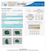 Emerald (Panna) Certificate