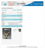 Garbhadhana Rudraksha Mala lab Certificate