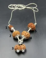 Garbhadhana Rudraksha lab Mala