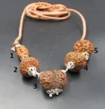 Garbhadhana Rudraksha lab Mala