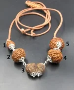 Garbhadhana Rudraksha lab Mala