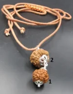 Gyan Rudraksha lab Mala