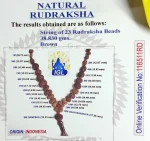 Indra Mala Certificate