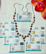 Indra Rudraksha Mala Certificate