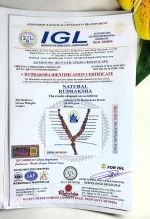 Indra Rudraksha Mala Certificate