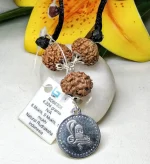 Kalsarpa Rudraksha Mala