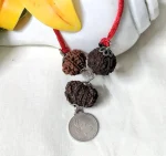 Kalsarpa Rudraksha Mala