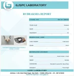 Kalsarpa Rudraksha Mala lab Certificate